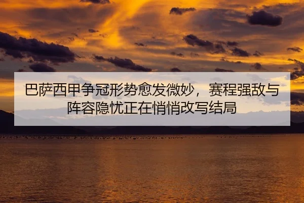 ba-sa-xi-jia-zheng-guan-xing-shi-yu-fa-wei-miao-sai-cheng-qiang-di-yu-zhen-rong-yin-you-zheng-zai-qiao-qiao-gai-xie-jie-2-522.jpg