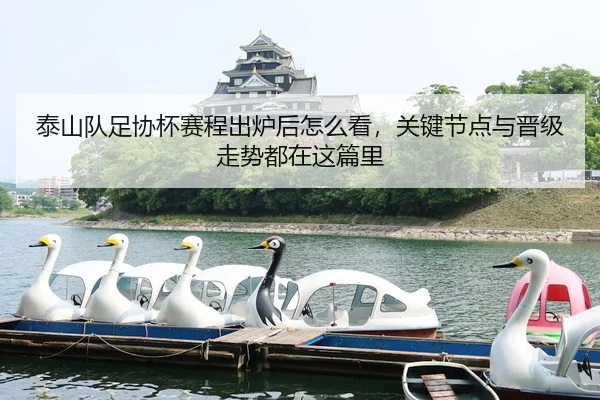泰山队足协杯赛程出炉后怎么看，关键节点与晋级走势都在这篇里